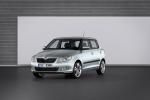 Skoda Fabia 2010 года
